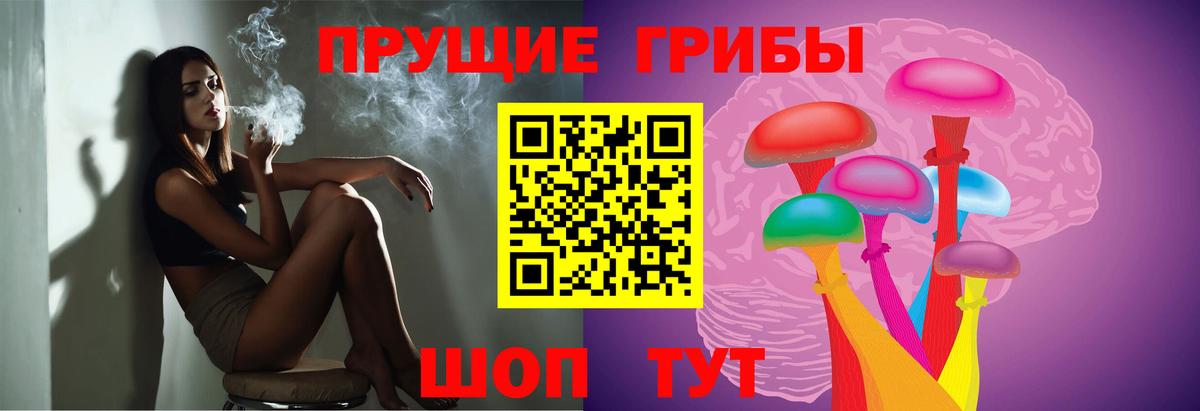 Галлюциногенные грибы Psilocybine cubensis Костомукша